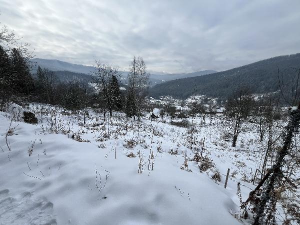  - фото нерухомості